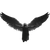 Ozzy With Wings Vinyl Car Decal Sticker – Waterproof & UV-Resistant 6.826666666666667"