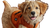Smiling Golden Retriever V11 Vinyl Car Decal Sticker – Waterproof & UV-Resistant 2.72"