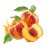 Peach Juice Burst Vinyl Car Decal Sticker – Waterproof & UV-Resistant 6.826666666666667"