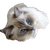 Playful Ragdoll Cat V4 Vinyl Car Decal Sticker – Waterproof & UV-Resistant 3.4133333333333336"