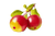 Winter Date Fruit Vinyl Car Decal Sticker – Waterproof & UV-Resistant 2.986666666666667"
