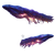 Galactic Space Squid Vinyl Car Decal Sticker – Waterproof & UV-Resistant 3.4133333333333336"