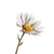 Daisy Michelangelo Vinyl Car Decal Sticker – Waterproof & UV-Resistant 3.4133333333333336"