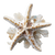 Golden Starfish Vinyl Car Decal Sticker – Waterproof & UV-Resistant 6.826666666666667"
