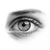 Realistic Eye Drawing V3 Vinyl Car Decal Sticker – Waterproof & UV-Resistant 3.4133333333333336"