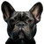 Hyper-Realistic Bulldog Vinyl Car Decal Sticker – Waterproof & UV-Resistant 6.826666666666667"