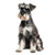 Schnauzer Portrait V4 Vinyl Car Decal Sticker – Waterproof & UV-Resistant 3.4133333333333336"