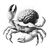 Crab With Brain Vinyl Car Decal Sticker – Waterproof & UV-Resistant 3.4133333333333336"