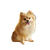 Fluffy Pomeranian Smiling Vinyl Car Decal Sticker – Waterproof & UV-Resistant 3.4133333333333336"
