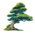 Ghibli Tree Vinyl Car Decal Sticker – Waterproof & UV-Resistant 6.826666666666667"