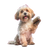 Happy Grooming Dog Vinyl Car Decal Sticker – Waterproof & UV-Resistant 6.826666666666667"