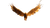 Fiery Eagle Escape Vinyl Car Decal Sticker – Waterproof & UV-Resistant 5.4