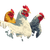 Chickens In Meadow Vinyl Car Decal Sticker – Waterproof & UV-Resistant 3.4133333333333336"
