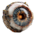 Robotic Eye Vinyl Car Decal Sticker – Waterproof & UV-Resistant 3.4133333333333336"