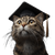 Graduating Tabby Cat Vinyl Car Decal Sticker – Waterproof & UV-Resistant 3.4133333333333336"