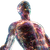Holographic Human Body V3 Vinyl Car Decal Sticker – Waterproof & UV-Resistant 3.4133333333333336"