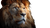 Realistic Lion Portrait Vinyl Car Decal Sticker – Waterproof & UV-Resistant 2.72"