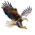 Majestic Eagle Painting Vinyl Car Decal Sticker – Waterproof & UV-Resistant 6.826666666666667"