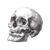 Skull Illustration V5 Vinyl Car Decal Sticker – Waterproof & UV-Resistant 6.826666666666667"