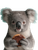 Koala With Cookie Vinyl Car Decal Sticker – Waterproof & UV-Resistant 8.213333333333333"