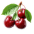 Fresh Ripe Cherries Vinyl Car Decal Sticker – Waterproof & UV-Resistant 3.4133333333333336"