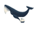Whale V4 Vinyl Car Decal Sticker – Waterproof & UV-Resistant 6.826666666666667"