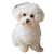 Bichon Frise Sitting V2 Vinyl Car Decal Sticker – Waterproof & UV-Resistant 3.4133333333333336"
