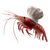 Chef Shrimp Vinyl Car Decal Sticker – Waterproof & UV-Resistant 3.4133333333333336"