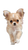 Tiny Chihuahua Puppy Vinyl Car Decal Sticker – Waterproof & UV-Resistant 4.8533333333333335"