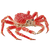Red King Crab Vinyl Car Decal Sticker – Waterproof & UV-Resistant 3.4133333333333336"