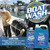 2x Revolutionize Your Boat Cleaning with Star Brite Liquid Car Wash | Removes Dirt, Fish Blood, and More | Biodegradable Formula