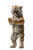 Laughing Tiger V2 Vinyl Car Decal Sticker – Waterproof & UV-Resistant 8.96"