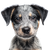 Azores Cattle Puppy Vinyl Car Decal Sticker – Waterproof & UV-Resistant 6.826666666666667"