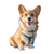 Happy Beach Corgi Vinyl Car Decal Sticker – Waterproof & UV-Resistant 3.4133333333333336"