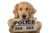 Playful Police Pup Vinyl Car Decal Sticker – Waterproof & UV-Resistant 2.986666666666667"