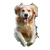 Joyful Golden Retriever V28 Vinyl Car Decal Sticker – Waterproof & UV-Resistant 3.4133333333333336"