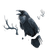 Cawing Black Raven Vinyl Car Decal Sticker – Waterproof & UV-Resistant 3.4133333333333336"