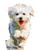 Happy Maltese Puppy V5 Vinyl Car Decal Sticker – Waterproof & UV-Resistant 4.0"