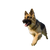 Running German Shepherd V4 Vinyl Car Decal Sticker – Waterproof & UV-Resistant 3.4133333333333336"