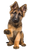 Confident German Shepherd V2 Vinyl Car Decal Sticker – Waterproof & UV-Resistant 4.4
