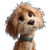 Pixar Cavapoo V2 Vinyl Car Decal Sticker – Waterproof & UV-Resistant 6.826666666666667"