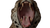 Leopard Mouth Closeup V2 Vinyl Car Decal Sticker – Waterproof & UV-Resistant 2.72"
