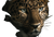 Amur Leopard Close-Up V2 Vinyl Car Decal Sticker – Waterproof & UV-Resistant 2.986666666666667"