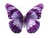 Purple Butterfly V10 Vinyl Car Decal Sticker – Waterproof & UV-Resistant 6.1866666666666665"