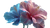 Blue And Pink Flowers Vinyl Car Decal Sticker – Waterproof & UV-Resistant 5.4