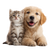 Cute Puppy Kitten V4 Vinyl Car Decal Sticker – Waterproof & UV-Resistant 3.4133333333333336"