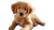 Golden Retriever Puppy V114 Vinyl Car Decal Sticker – Waterproof & UV-Resistant 5.4