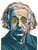 Bitcoin Einstein Art V3 Vinyl Car Decal Sticker – Waterproof & UV-Resistant 8.213333333333333"