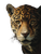 Jaguar Portrait V3 Vinyl Car Decal Sticker – Waterproof & UV-Resistant 4.1066666666666665"