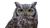 Spotted Eagle Owl Vinyl Car Decal Sticker – Waterproof & UV-Resistant 5.4
